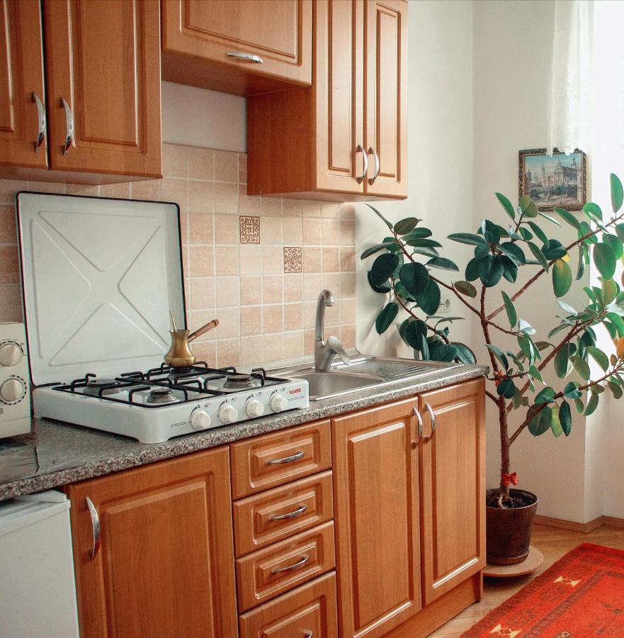 The Heart Of Lviv Appartement Buitenkant foto